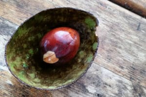 Avocado skin peel and seed