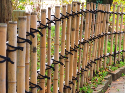 using bamboos for garden fencing