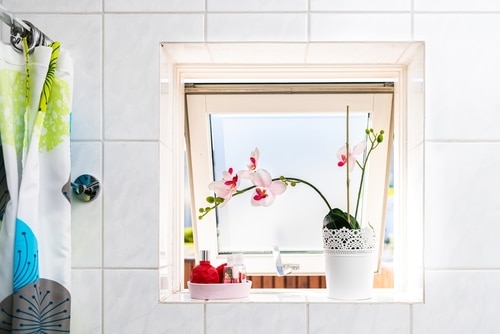 A flowering orchid displayed on an open window of a white bathroom.