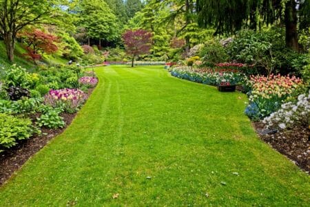 beautiful garden during springtime