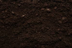rich and fertile black soil