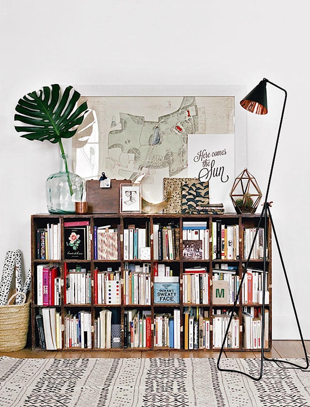 Bookshelf with a large leaf sitting on the shelf.