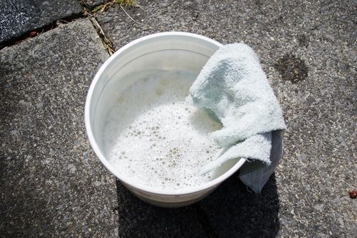 A bucket of water and soap mixture and  a rag.