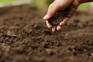 A hand picking up quality soil with living microorganisms