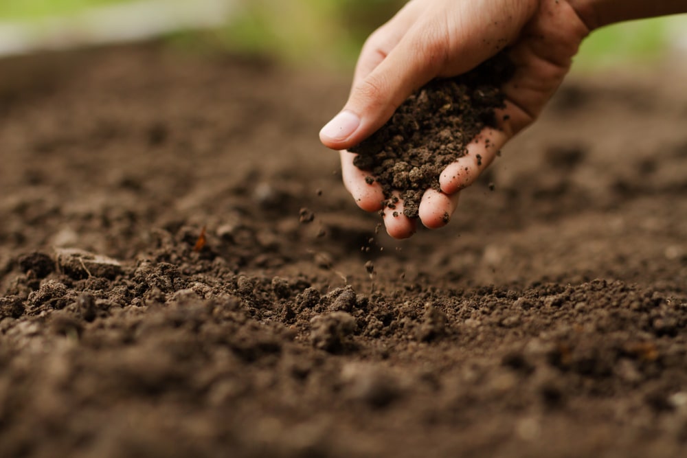 How To Build Living Soil 5 Steps, How To Add Sand Garden Soil