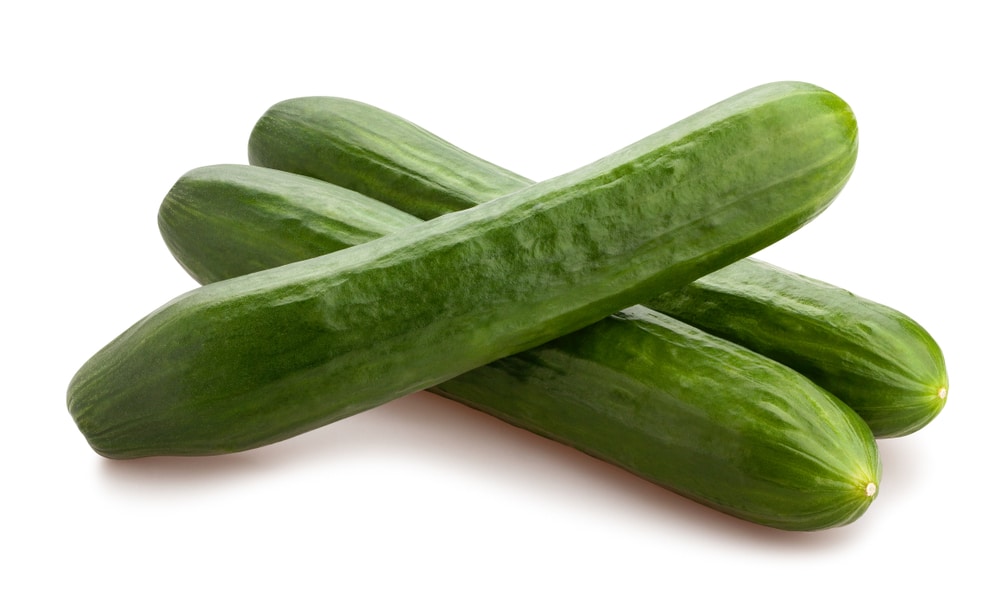 Chelsea prize variety 3 chelsea prize cucumbers