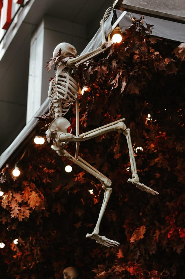a skeleton decor climbing a house
