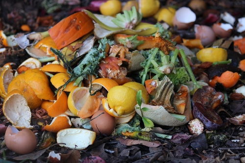 Food waste for backyard composting