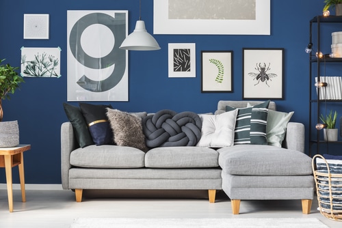 The L-shaped gray sofa contrasted with a dark blue shaded wall creates very clean and modern interior.