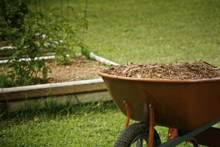 Different Types of Mulch: The Advantages of Each