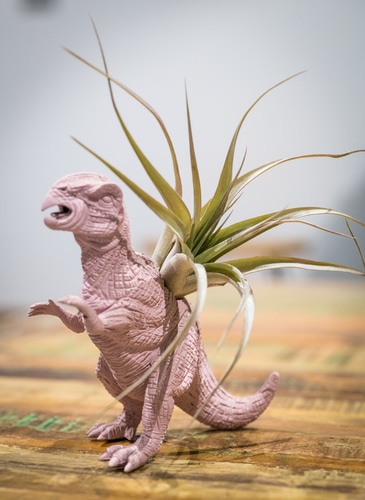 dinosaur figurine as air planter
