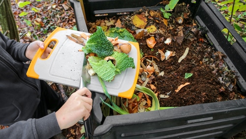 A person disposing food waste into a compost bin