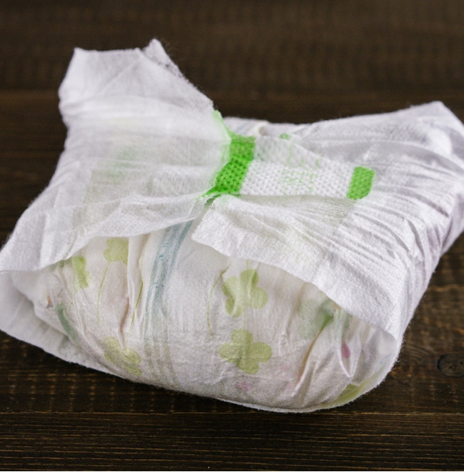 Diapers should not be put into a compost bin.