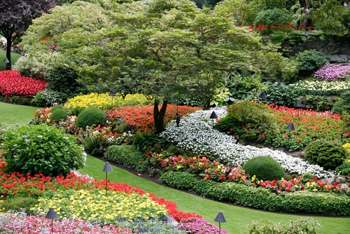 A colorful and beautiful landscape of flowers in the park.