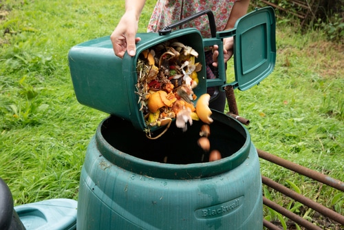 A bin full of food waste for disposal