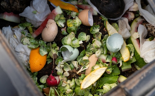 An outdoor container full of food waste for compost