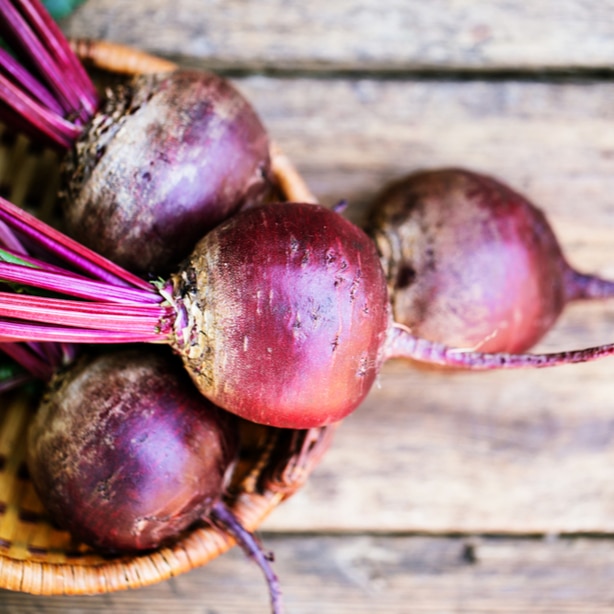Fresh beets Freshly harvested beets that are ready to be eaten