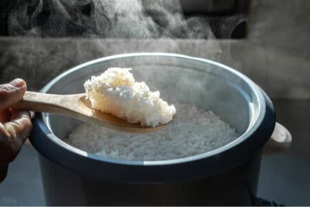 freshly cooked rice from rice cooker