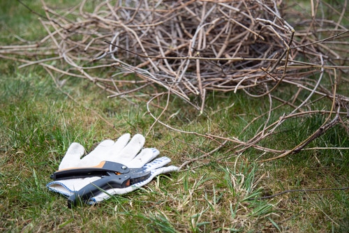 white gloves and plant cutters and scissors on the grass