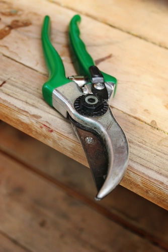 Green gardening scissors on a wooden table