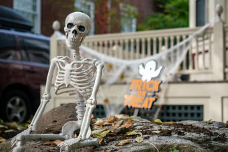 skeleton for Halloween decoration