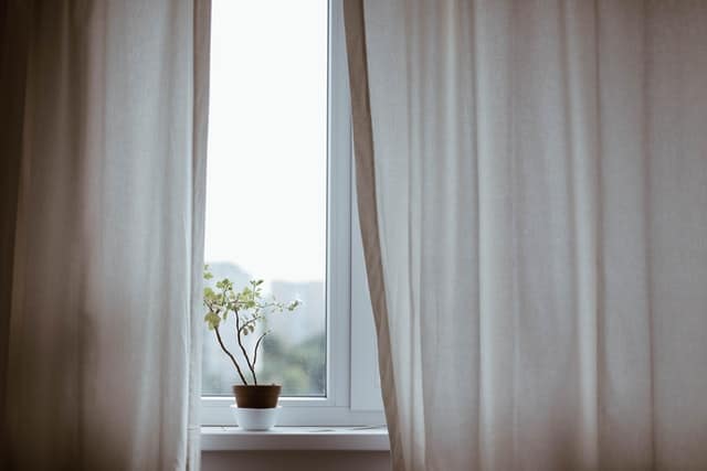 A houseplant sitting on the windowsill peeking from curtains.