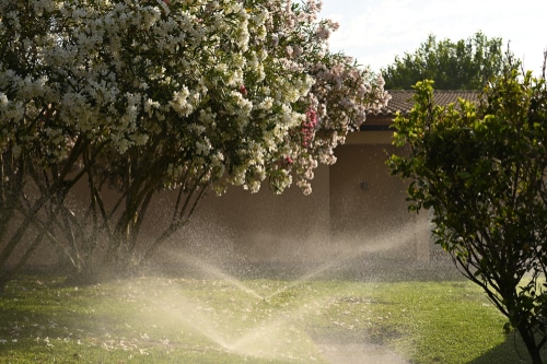 An irrigation system installed in a garden for watering plants and trees