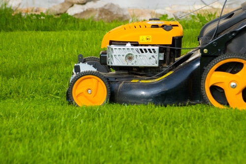 A lawnmower mowing the overgrown grass in the yard