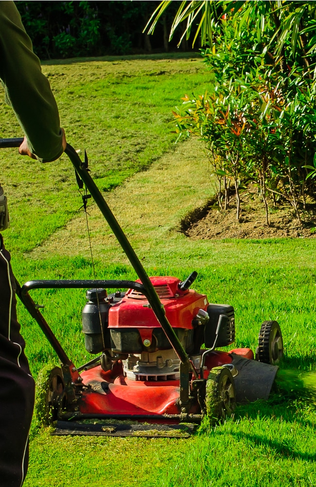 Mow lawn properly by first trimming the perimeter.