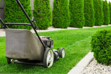 mowing and trimming grass using lawnmower