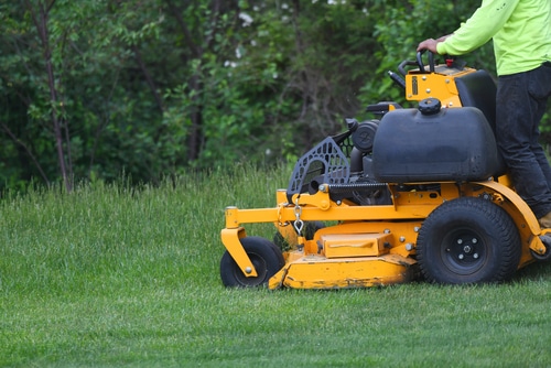 A gardener using a lawn mower to remove some overgrown grass