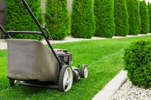 Mowing and maintaining the garden using a lawnmower