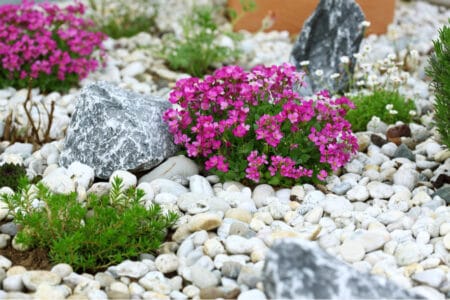 white pebbles and flowers garden landscape
