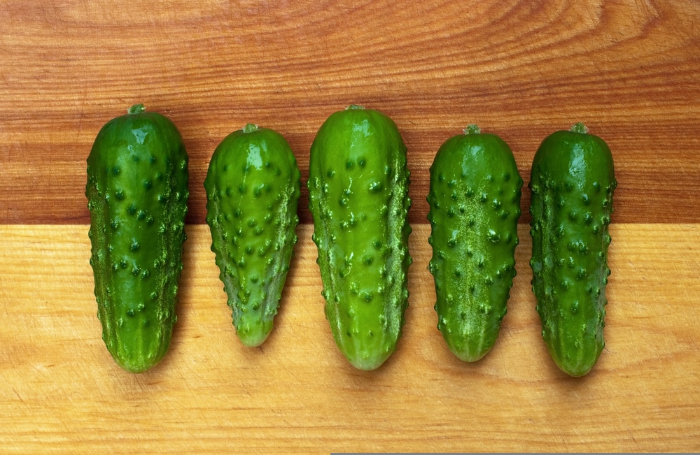 picklebush 5 picklebush pickles laying on a wooden table