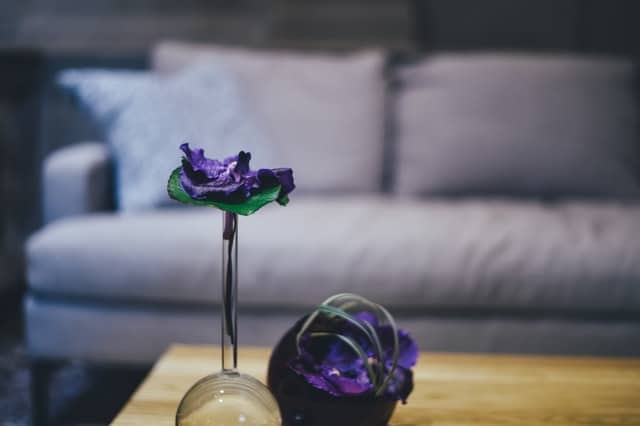A purple flower petal in a slim glass vase