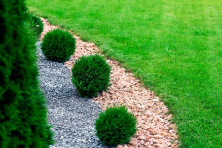 Rock vs Mulch — Which One is Better?