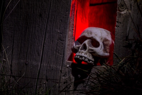 scary skull Scary skull decoration with red lights halloween