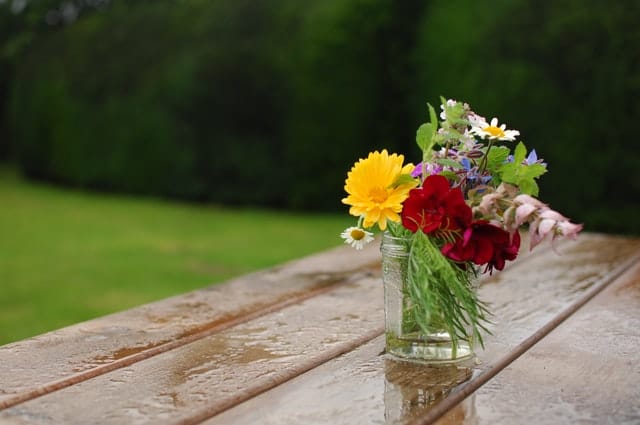 A small glass vase with water holding an arranged flower.