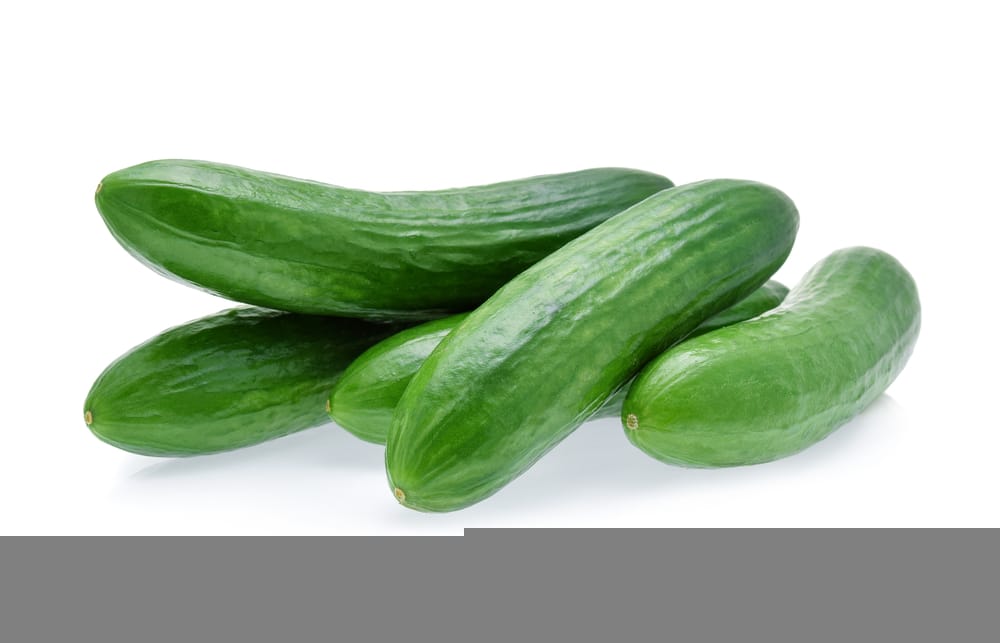 Space master Space master cucumbers