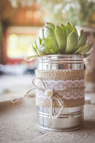 succulent planter A decorated tin can as a succulent planter.