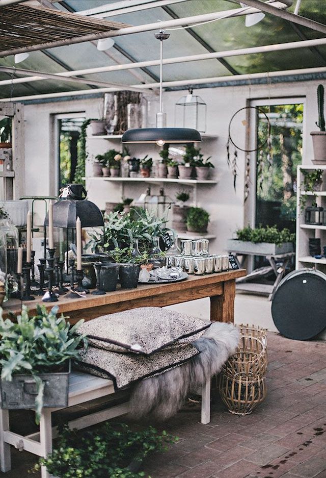 A sunroom full of house plants, ornamentals and antiques