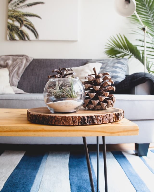 A set of tabletop decors such as wooden round chopping board, fishbowl, and pine tree fruits.