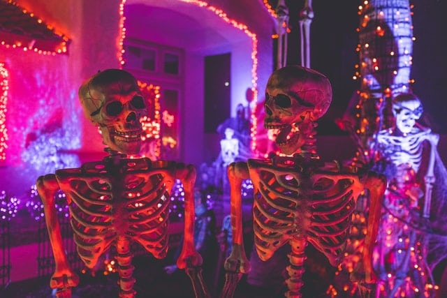 two skeletons Two human sized skeletons halloween party decorations