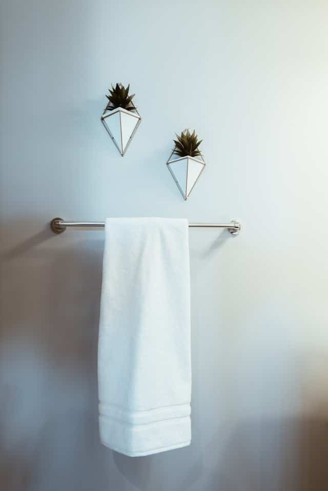 Two overhead plant decors in a bathroom above towel holder