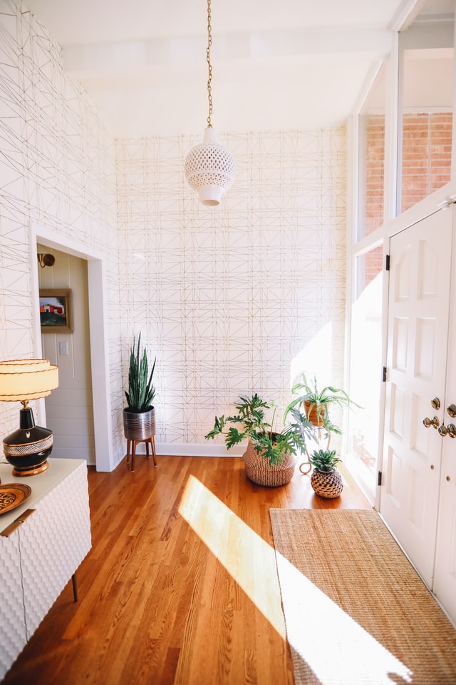 Entryway interior wooden flooring and white walls