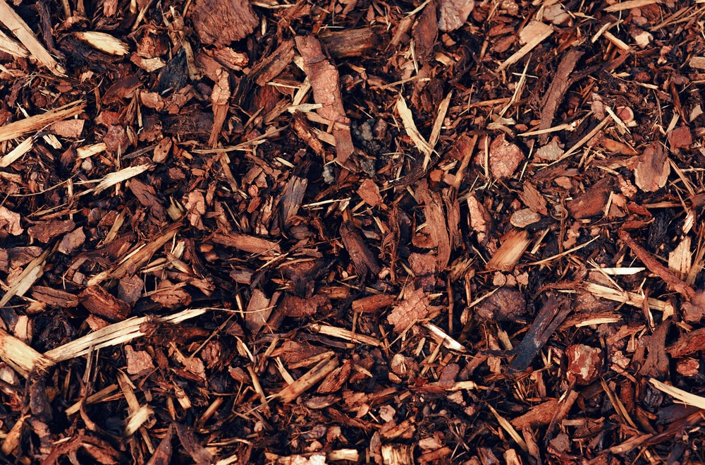Wooden mulch Organic wood chips are great mulch