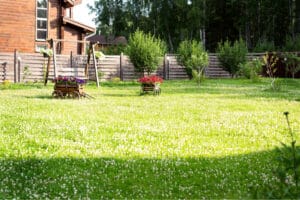 large yard full of green grass